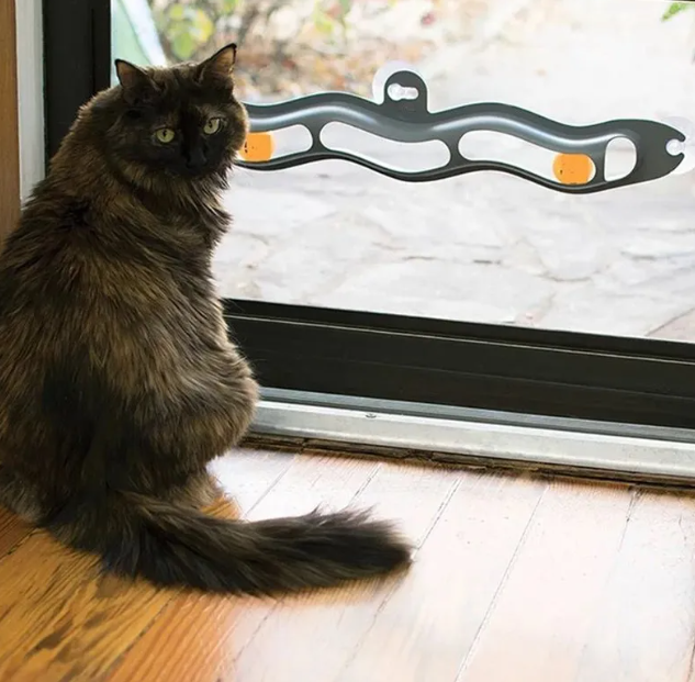 Window Cat Toy with Suction Cups